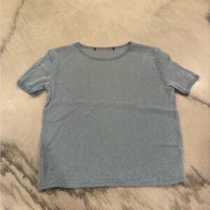 Sparkly Blue Sheer Short Sleeve Top